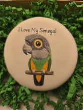 Senegal Parrot Cookies