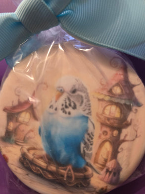 Sugar Cookie Blue Budgie